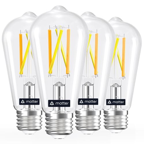 Linkind Matter Smart Edison Light Bulbs ST19 (58) Vintage Bulbs 4 Pack