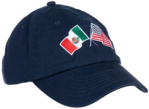 Image of Ann Arbor T-shirt Co. American Friendship Nations Flag Baseball Low Profile Dad Hat for Men Women