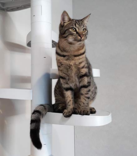 MONKEE TREE - Modular Cat Ladder for inside or outside 12 Trunk Starter Pack