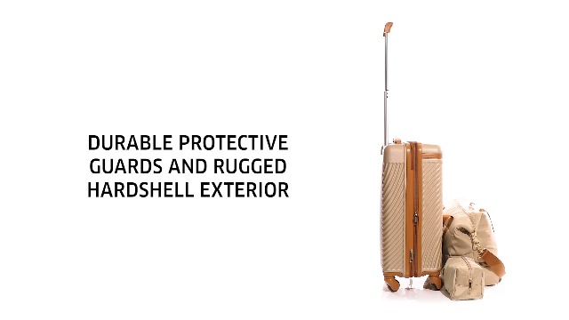 Amazon.com | Bioworld Viggio 8-Piece Packing Cube Brown Luggage