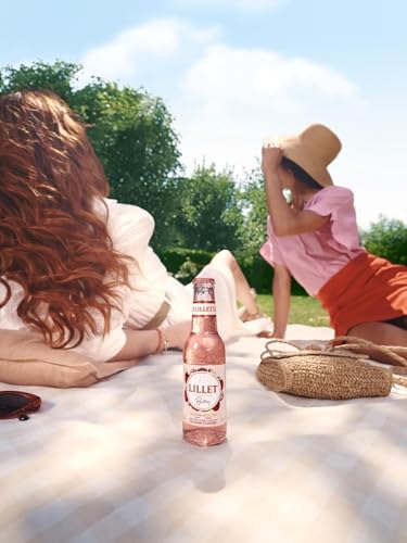 Lillet Berry, vorgemischter Drink aus Lillet Blanc, Erdbeer- & Himbeer-Aromen, fruchtiger Aperitif, aromatisiertes alkoholisches Mixgetränk, 3 x 200ml