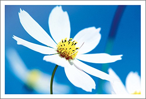 10 ړIG͂iiʐ^jMUSF-52