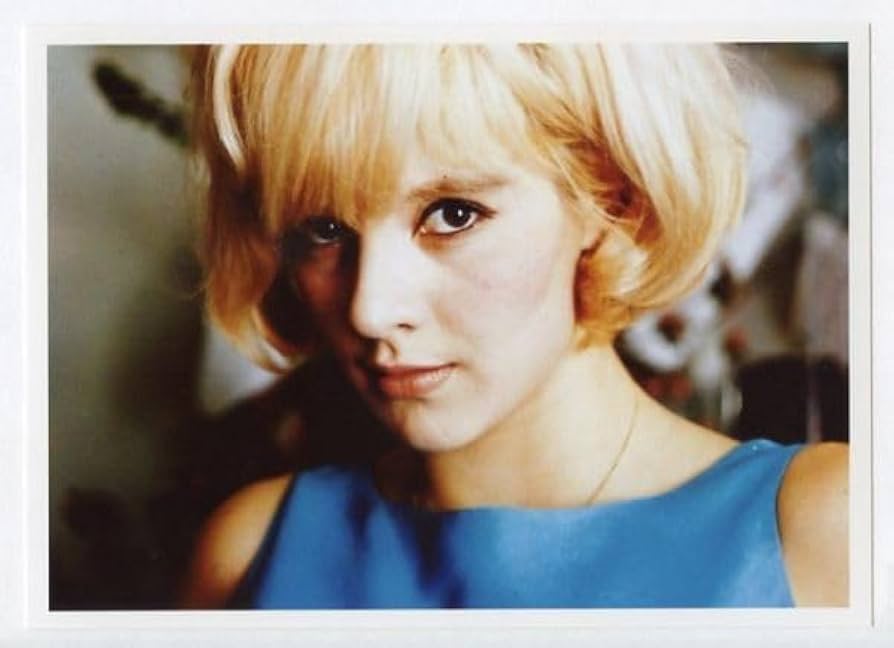 シルヴィ ヴァルタン SYLVIE VARTAN❤︎1965年ヴィンテージドール シルヴィ ヴァルタン SYLVIE VARTAN❤︎1965年ヴィンテージ