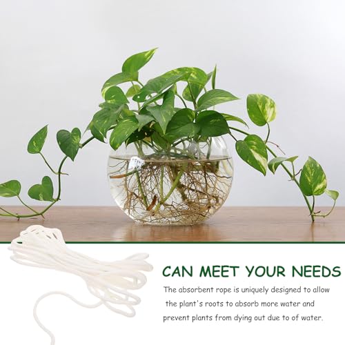 UPKOCH Drip Irrigation Pot Plants Cotton Rope 4 mm 10 Automatic Self-Watering Wicks Irrigation Device System Indoor Pot Plant Pot Flowers Indoor Plant Garden Watering - Image 2