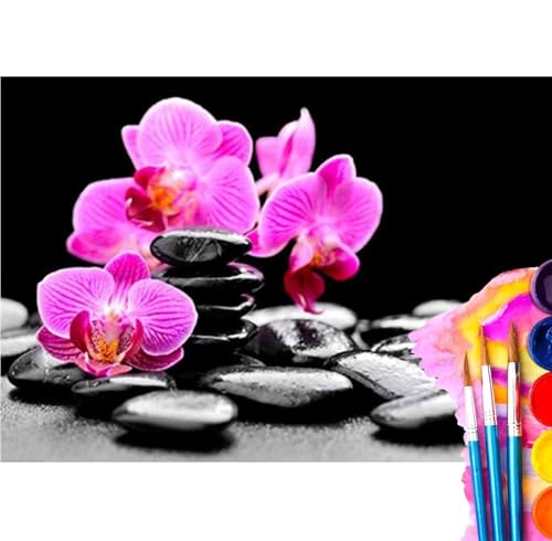 Peinture par numéro orchidées la pierre coloriage acrylique DIY adulte 90x120cm