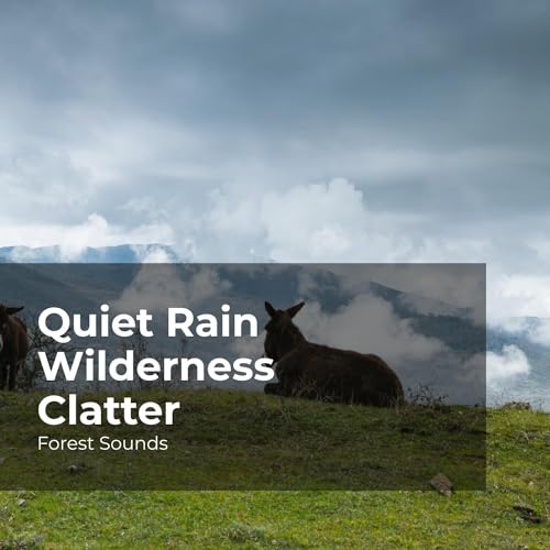 Amazon Music Unlimited Forest Sounds, Ambient Forest & Rainforest