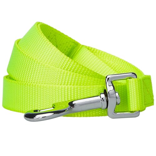 Blueberry Pet Essentials Highlighter Yellow Dog Leash for Medium - 5' * 3/4' Dogs | Heavy Duty Nylon Lead | Lightweight Puppy & Cat Leash for Walking & Training