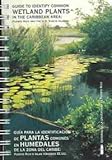 Guide to identify common wetlands plants in the Caribbean area: Puerto Rico and the U.S. Virgin Islands (English and Spanish Edition)