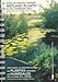 Guide to identify common wetlands plants in the Caribbean area: Puerto Rico and the U.S. Virgin Islands (English and Spanish Edition)