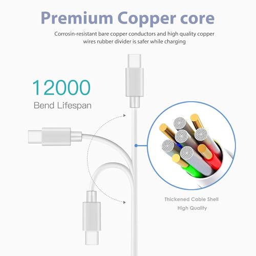 Cable tipo C de 10 pies para eufyCam 3 y SoloCam S220 mantén tu jardín vigilado día y noche 4