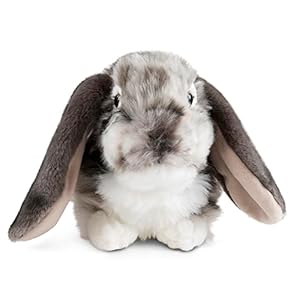 Living Nature Grey Dutch Lop Eared Rabbit Stuffed Animal Plush Toy | Fluffy Soft Toy Gift for Kids | Boys and Girls Doll | Naturli Eco-Friendly | 26 cm