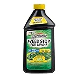 Spectracide Weed Stop For Lawns Concentrate2