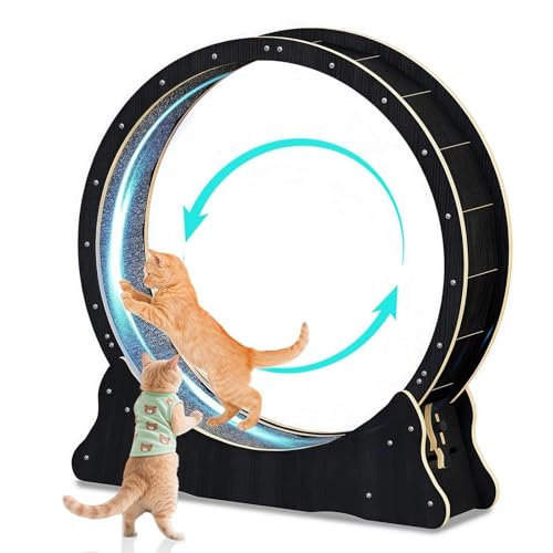 WUDLEP Katzen-Laufrad für Indoor-Katze, 100cm großes Katzenlaufrad mit Teppichlaufbahn, Katzenlaufband für längere Lebensdauer, Katzenrad für...