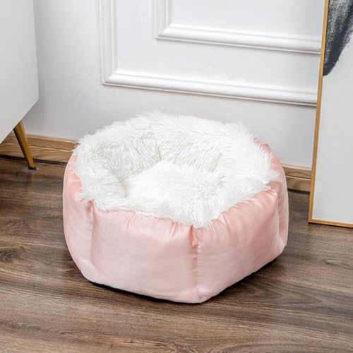 L xbh ی^ ӂӂ ~t  LNbV  g ׂ~ p 􂦂 ybgxbh ybgnEX  Lp [΍ h΍ ʔN sN 55cm