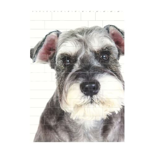 ~j`AViEU[ ςݖ؃pY ̏ pŶ y XgX DIY l q SҌ ȒP a v[g 10.3x14.1cm