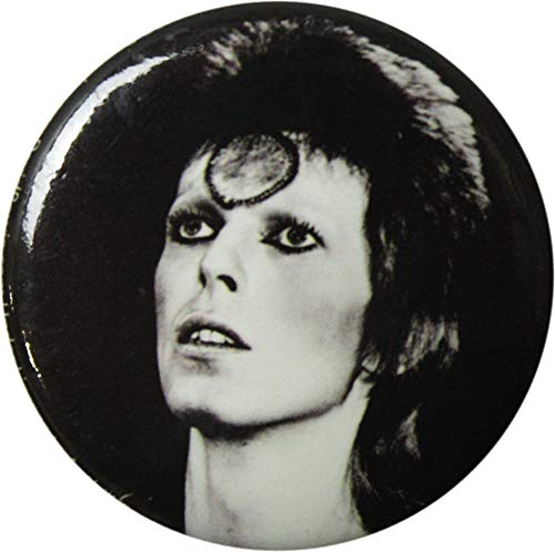 David Bowie - Ziggy Stardust - 1.25