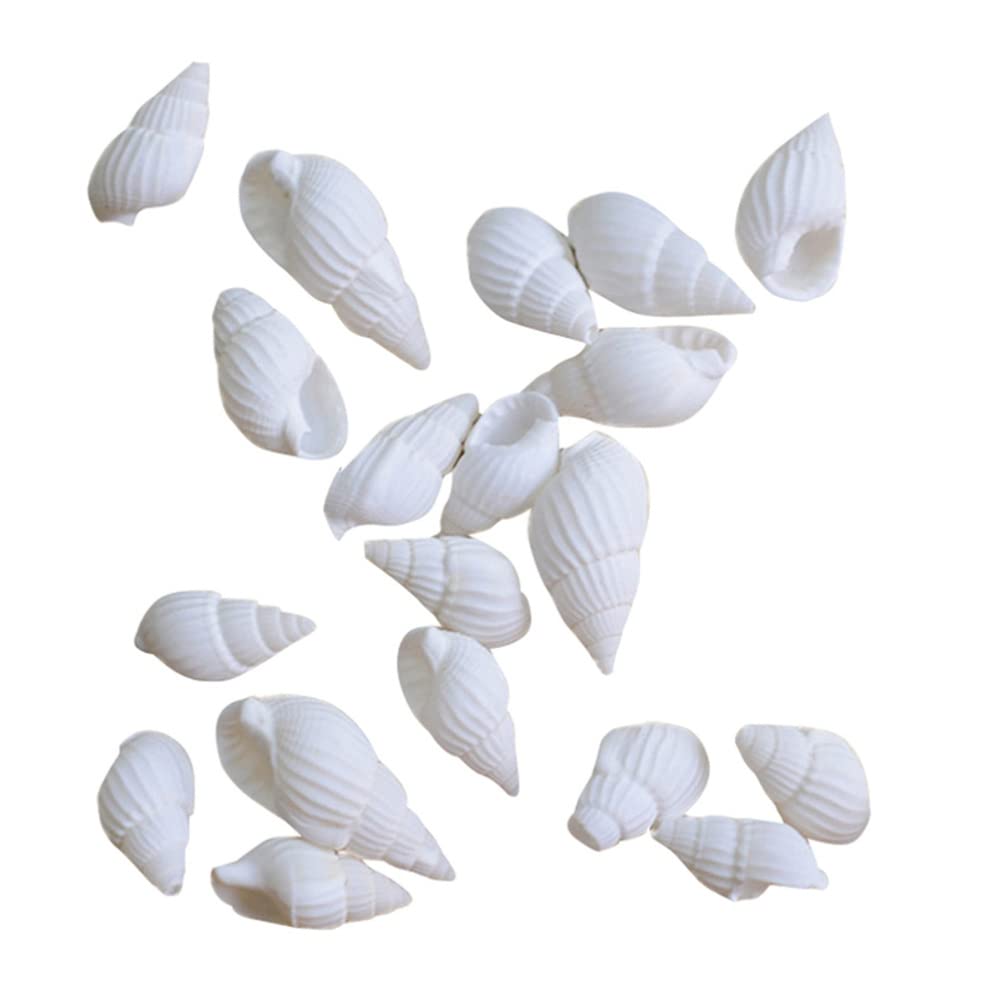 100pcs Mini Seashell Conches Natural Tiny Ocean Seashells for DIY Miniature Beach Decor White Decorative Conch Ocean Beach Shell Conch Craft Charms for Fish Tank Vase Filler