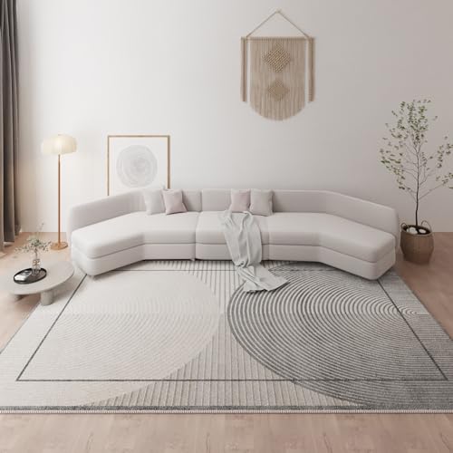 Tapis à rayures circulaires anti-tache lavable pour sol froid de salon