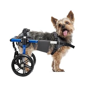 Dog Wheelchair for Back Legs with Upgraded All-Terrain Tires & Durable Bearings,Adjustable Dog Wheelchair for 9″-13.7″,11-22 lbs Disabled or Injured Small Dogs