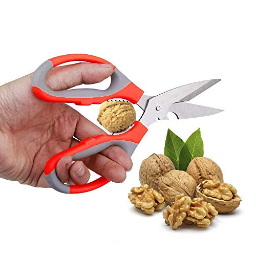 Image of Petals Multipurpose Kitchen Household and Garden Scissor (8.5 inch), Colour May Vary