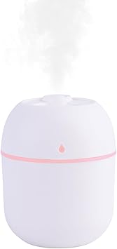 Amazon.com: Portable Mini Humidifier Small Cool Mist Humidifier ...
