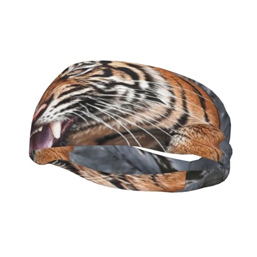 Cool Tiger Sweatbands Sports Headband Breathable Sport Yoga Workout Turban Headband for Women Men Hair Accessories