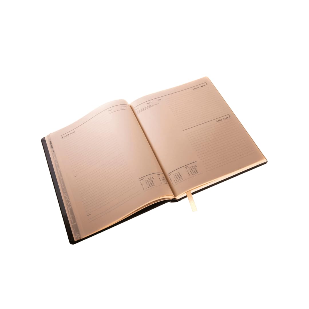 Agenda de escritorio 2025 (papel rosa), planificador diario por página, color negro (DPC-25)