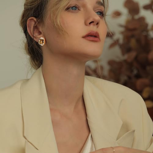 Brown Earrings Circle Chunky Earrings for Women Trendy 18K Gold Plated Stud Hoop Stainless Steel Hypoallergenic3