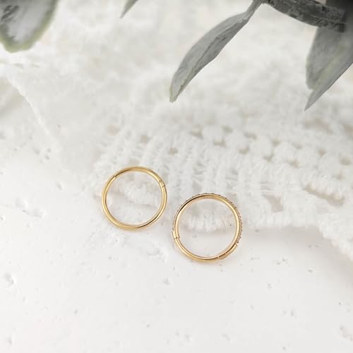 3Pcs Nose Rings Hoop 20G 18G 16G Surgical Steel Hinged Segment Rings Septum Jewelry Lip Ring Helix Conch cartilage earring for Women Girls Men 7mm 8mm 10mm3