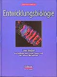 Entwicklungsbiologie