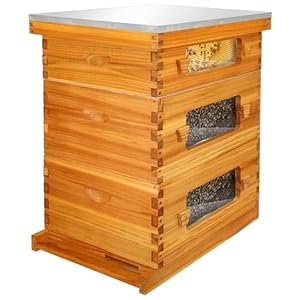 Honey Lake Bee Hive with Windows, 10 Frame Langstroth Complete Beehive Starter Kit Dipped in Beeswax with Beehive Frames and Waxed Foundations (2 Deep Brood Bee Hive Box & 1 Medium Super Bee Box)