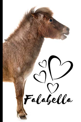  Falabella Pony Notebook: Composition Notebook 6x9\
