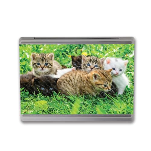 Image of MightySkins Carbon Fiber Skin Compatible With Microsoft Surface Laptop Go 3 (2023) Full Wrap Kit - Field Of Kittens | Protective, Durable Textured Carbon Fiber Finish | Easy To Apply | Made in the USA