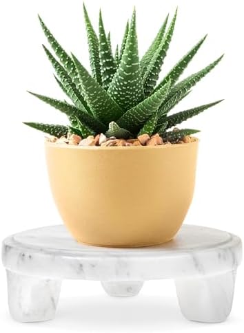 Amazon.com: STRONA 6