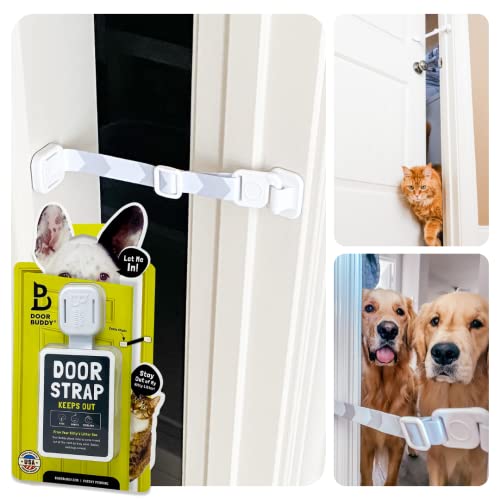 Best Cat Door With Collar Sensor 2023 Where to Buy?