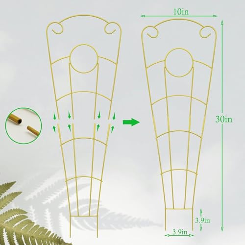 Rejilla interior para plantas trepadoras que soluciona la caída de ramas 6