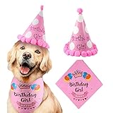 【Cute Puppy's Birthday Outfit】Perfect for pup photo shoot, for doggy birthday party, for pet daily life wearing.This cute set also fits small, medium and large breed dog and other pets.