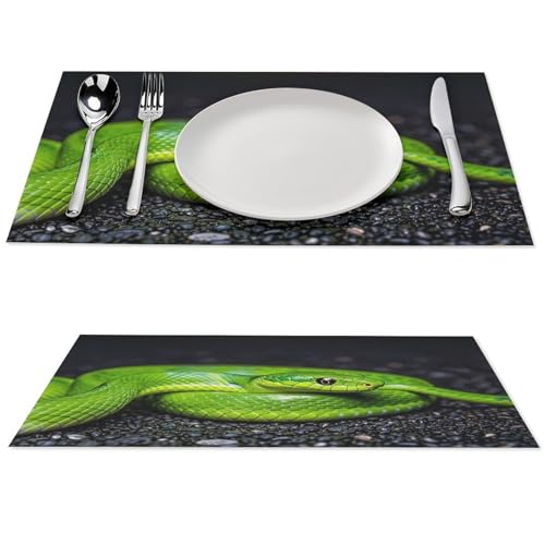 Sets de table Green Snake en PVC lavable x6 pour repas chic - 2