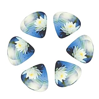 Médiators de guitare 12-Pack White Lotus Flowers médiators de guitare pour guitare électrique guitare acoustique… - Les Beatles, Paul McCartney, John Lennon, RIngo Starr, George Harrison
