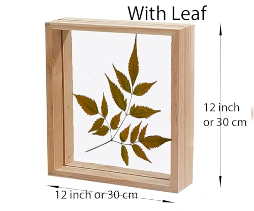 Image of Desi Rang Wooden Rectangular Frame For Wall Decor Table Top Hanging Any Green Or Dry Plant Leaf Picture Photo DIY Gift Home Decoration (Wood,Rec,8X12Inch,With Dry Leaf)
