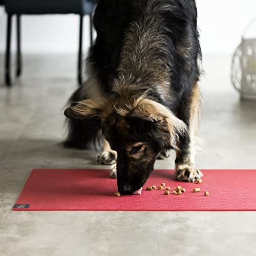 SanoZoo® Napfunterlage - Öko-TEX - Made in Germany - rutschfeste Futtermatte für Hunde & Katzen 80x80cm Grau, wasserfest