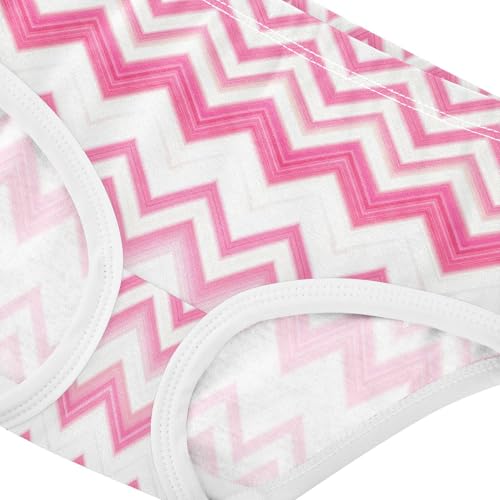 Pink White Stripe Toddler Girls's Underwear 2T 23008984