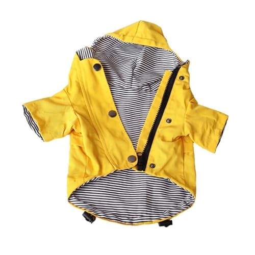 Correas Perros Pequeños Pomeranias Marca KCHYCV