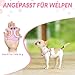 Eyein Hundegeschirr Kleine Hunde mit Leine, Atmungsaktiv Air Mesh Brustgeschirrmit reflektierenden Streifen, Verstellbarer Step-in Geschirr für extra kleine/kleine mittelgroße Hunde (Rosa, XXS)