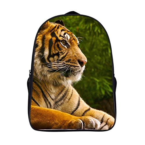 Sac à dos Teen School Backpack robuste contre le mal de dos et les fermetures cassées