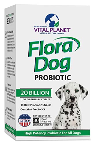 Vital Planet - Flora Dog Chewable Tablets Probiotic Supplement with 20 Billion Cultures and 10 Strains, High Potency Immune and Digestive Support Probiotics for Dogs, 30 Beef Flavored Chewable Tablets