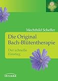DIE ORIGINAL BACH-BLÜTENTHERAPIE: DER SCHNELLE EINSTIEG