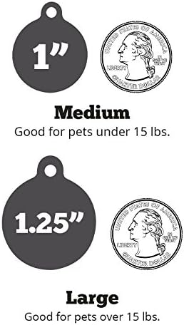 If It Barks - Engraved Pet ID Tags for Dogs - Personalized Stainless Steel Identification Tags - Custom Name Tag Attachment - Made in USA, I'm Blind