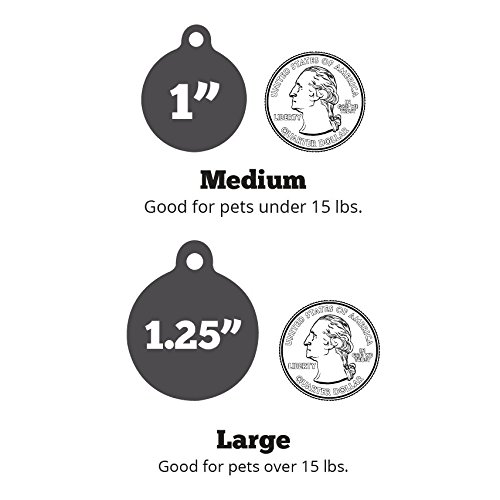 If It Barks - Engraved Pet Id Tags For Dogs - Personalized Stainless Steel Identification Tags - Custom Name Tag Attachment - Made In Usa, I'm A Drama Queen #TOP5