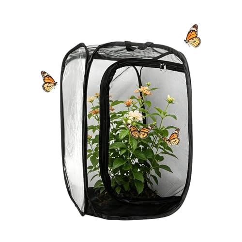 Vivero de mariposas portátil para proteger orugas en árboles frutales 2